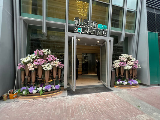 Aquila ‧ Square Mile ︱ 利奧坊 ‧ 曦岸