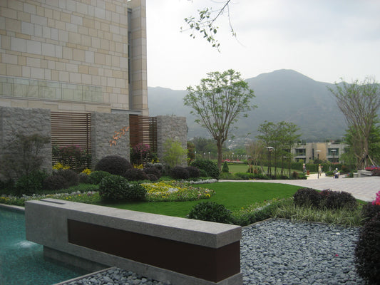 The Vineyard